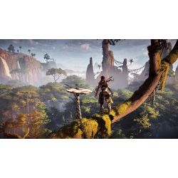 HORIZON ZERO DAWN PS4 OCC