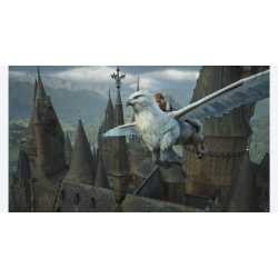 HOGWARTS LEGACY SWITCH 2