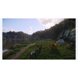 KINGDOM COME DELIVERANCE 2 PS5 OCC