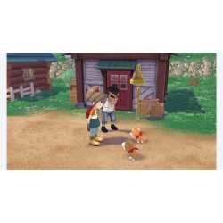 STORY OF SEASONS: A WONDERFUL LIFE SWITCH OCC