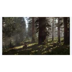 RED DEAD REDEMPTION 2 PS4