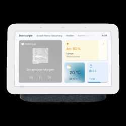 GOOGLE NEST HUB 2 GRIS...