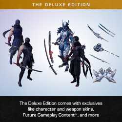Ninja Gaiden 4 PS5