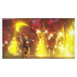 HYRULE WARRIORS Les Chroniques du Sceau SWITCH 2