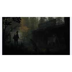 ALAN WAKE 2 DELUXE EDITION PS5 OCC