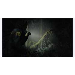 ALAN WAKE 2 DELUXE EDITION PS5 OCC