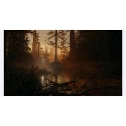 ALAN WAKE 2 DELUXE EDITION PS5 OCC