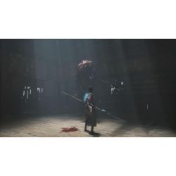 WUCHANG FALLEN FEATHERS DAY 1 PS5