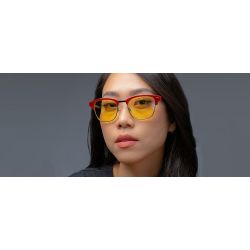 LUNETTE GUNNAR DIABLO IV SANCTUARY EDITION