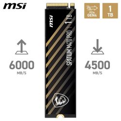 MSI SSD SPATIUM M470 PRO 1To (1000go)