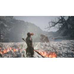 BLACK MYTH WUKONG PS5