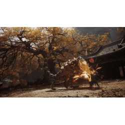 BLACK MYTH WUKONG PS5