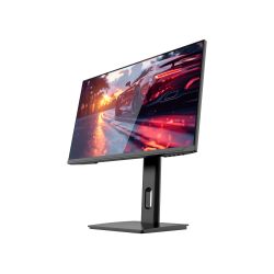 ECRAN 24" DarkFlash S256FR
