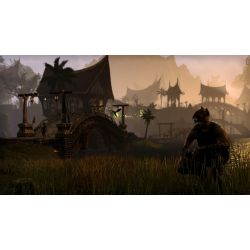 THE ELDER SCROLLS ONLINE TAMRIEL UNLIMITED PS4 OCC