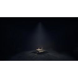 REANIMALDELUXE EDITION SWITCH 2