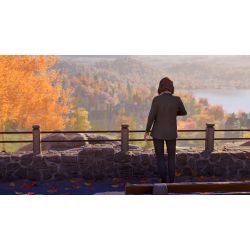 LIFE IS STRANGE Reunion Series X