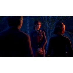 LIFE IS STRANGE Reunion Series X