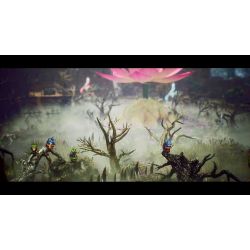 The Adventures Of Elliot The Millennium Tales Switch 2