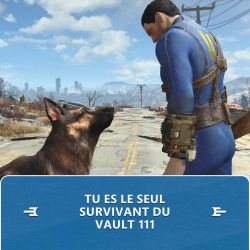 Fallout 4 Anniversary Edition SWITCH 2