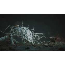 BLACK MYTH WUKONG PS5