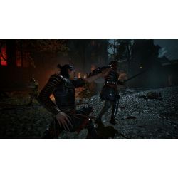 The Blood Of Dawnwalker Dayone Edition PS5