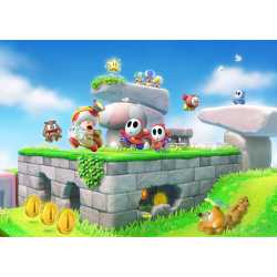 CAPTAIN TOAD TREASURE TRACKER SWITCH