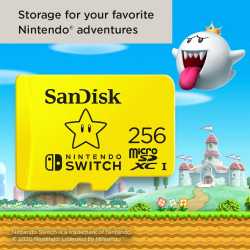 CARTE MICRO SDXC SANDISK 256GB ETOILE SWITCH