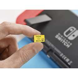 CARTE MICRO SDXC SANDISK 256GB ETOILE SWITCH