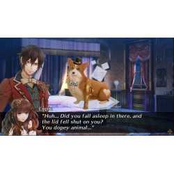 CODE: REALIZE - GUARDIAN OF REBIRTH SWITCH