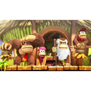DONKEY KONG COUNTRY TROPICAL FREEZE SWITCH