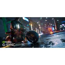 G-Sync active — Rendu avec G-Sync Compatible active.