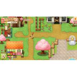 HARVEST MOON LIGHT OF HOPE SWITCH