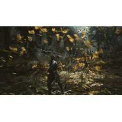 BLACK MYTH WUKONG PS5