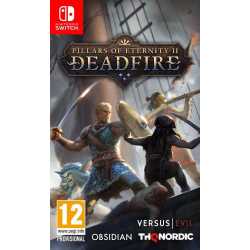 PILLARS OF ETERNITY 2 DEADFIRE SWITCH