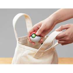 POKE BALL PLUS SWITCH