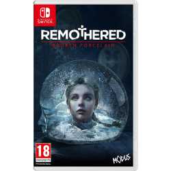 REMOTHERED BROKEN PORCELAIN SWITCH