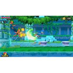 WONDER BOY ASHA IN MONSTER WORLD SWITCH