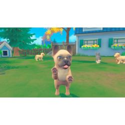 MY UNIVERSE: CHIENS ET CHATS SWITCH