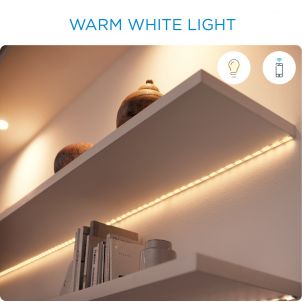 AMPOULE CONNECTE WIZ -A60 AMBER BULB E27 TUNABLE WHITE