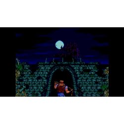 CASTLEVANIA ANNIVERSARY COLLECTION SWITCH