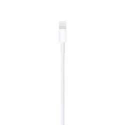 APPLE CABLE LIGHTNING VERS USB (1 M)