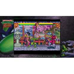 TEENAGE MUTANT NINJA TURTLES: THE COWABUNGA COLLECTION SWITCH