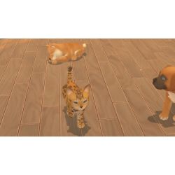 MY UNIVERSE: CHIENS ET CHATS SWITCH OCC