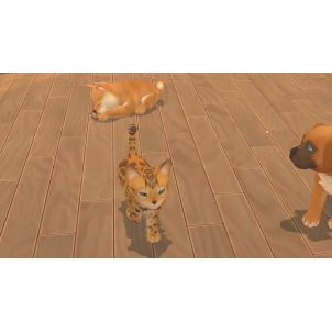 MY UNIVERSE: CHIENS ET CHATS SWITCH OCC