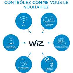 AMPOULE CONNECTE WIZ - G125 CLEAR GLOBE E27 TUNABLE WHITE