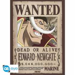 POSTER ONE PIECE - WANTED WHITEBEARD (52X38)