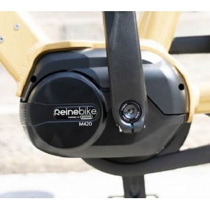 VELO ELECTRIQUE REINE BIKE - DORE - CADRE HAUT