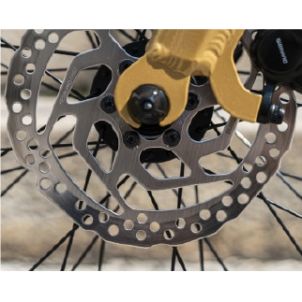 VELO ELECTRIQUE REINE BIKE - DORE - CADRE HAUT