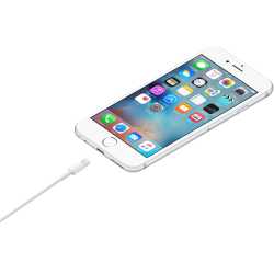 APPLE CABLE LIGHTNING VERS USB (2 M)