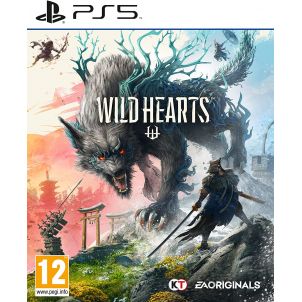 WILDHEARTS PS5